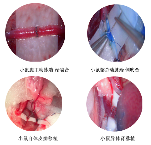 微信图片_20250127194328.png